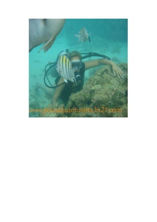 Maragogi  Pousada Do Turista