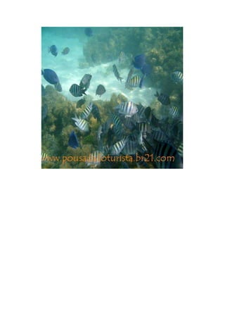 Maragogi  Pousada Do Turista