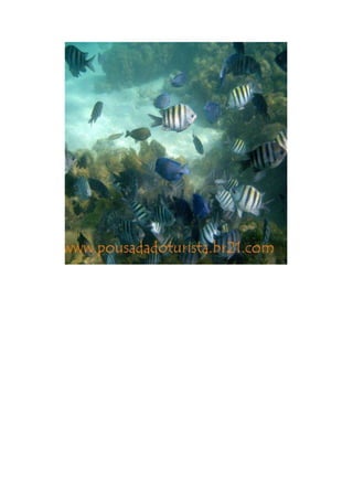 Maragogi  Pousada Do Turista