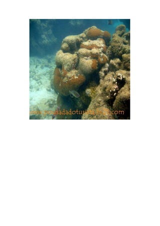 Maragogi  Pousada Do Turista