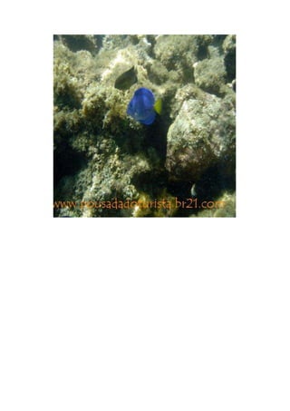 Maragogi  Pousada Do Turista