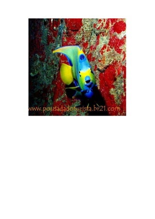 Maragogi  Pousada Do Turista