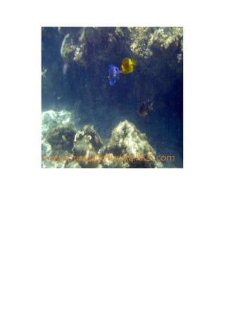 Maragogi  Pousada Do Turista