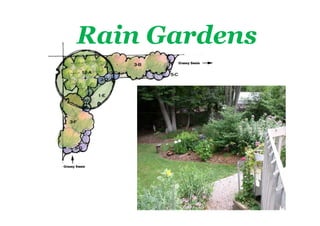 Rain Gardens
 