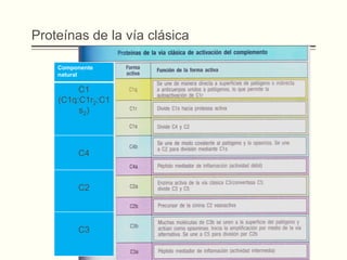 Proteínas de la vía clásica
Componente
natural

C1
(C1q:C1r2:C1
s2)

C4

C2

C3

 