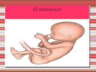 El embarazo 