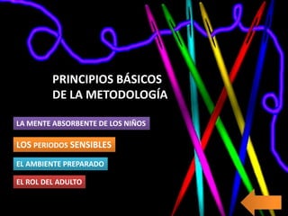 PRINCIPIOS BÁSICOS
DE LA METODOLOGÍA
LA MENTE ABSORBENTE DE LOS NIÑOS
LOS PERIODOS SENSIBLES
EL AMBIENTE PREPARADO
EL ROL DEL ADULTO
 
