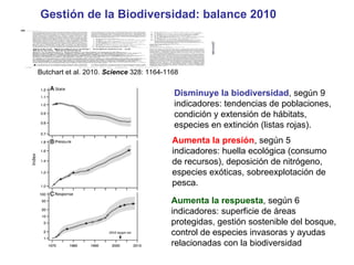 Biodiversidad y servicios ecosistémicos de los bosques | PPT