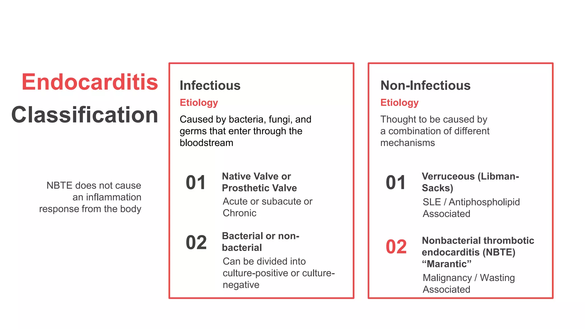 Endocarditis
Classification
NBTE does not cause
an inflammation
response from the body
Infectious
Etiology
Caused by bacteria, fungi, and
germs that enter through the
bloodstream
Non-Infectious
Etiology
Thought to be caused by
a combination of different
mechanisms
01
Acute or subacute or
Chronic
Native Valve or
Prosthetic Valve
02
Can be divided into
culture-positive or culture-
negative
Bacterial or non-
bacterial
01
SLE / Antiphospholipid
Associated
Verruceous (Libman-
Sacks)
02
Malignancy / Wasting
Associated
Nonbacterial thrombotic
endocarditis (NBTE)
“Marantic”
 