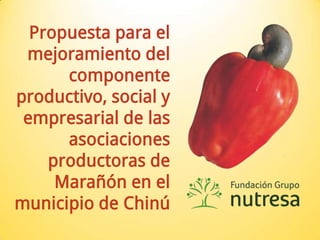 Propuesta para el mejoramiento del componente productivo, social y empresarial de las asociaciones productoras de Marañón en el municipio de Chinú 