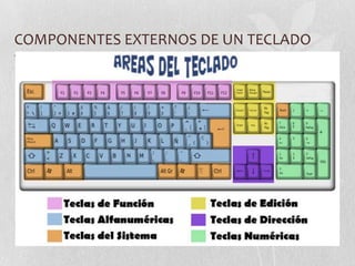 COMPONENTES EXTERNOS DE UN TECLADO
Teclas
 