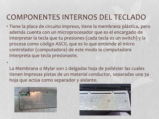 COMPONENTES INTERNOS DEL TECLADO
• Tiene la placa de circuito impreso, tiene la membrana plástica, pero
además cuenta con un microprocesador que es el encargado de
interpretar la tecla que tu presiones (cada tecla es un switch) y la
procesa como código ASCII, que es lo que entiende el micro
controlador (computadora) de este modo la computadora
interpreta que tecla presionaste.
•
La Membrana o Mylar son 2 delgadas hoja de poliéster las cuales
tienen impresas pistas de un material conductor, separadas una 3a
hoja que actúa como separador y aislante.
 