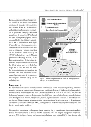La pesquería de merluza común. ¿Un ejemplo?




Las evidencias científicas han permiti-
do identificar tres stocks que definen
unidades de manejo independientes:
uno al norte de los 41º de latitud sur,
en la plataforma bonaerense comparti-                                         (ZEE)
da en parte con Uruguay; otro stock
patagónico al sur de los 41º de latitud
sur y un tercer grupo pequeño, limita-                                                STOCK
do por el Golfo San Matías y adminis-
trado por la provincia de Río Negro
(Figura 1). Las principales concentra-
ciones reproductivas del stock sur ocu-
                                                                                         '
rren en primavera y verano, en el área                                                  '
de Isla Escondida (entre los 43° y los
45° 30’ de latitud sur) y a 50-70 m de
profundidad (Pájaro y Macchi, 2001).
Las concentraciones de juveniles tie-                     STOCK
nen una amplia distribución al sur de
los 43º de latitud sur y en el Golfo San
Jorge. En el caso del stock del norte,
las concentraciones reproductivas de




                                                                                                       La Situación Ambiental Argentina 2005
invierno y las áreas de crianza se ubi-                                       alvinas
can en la zona común de pesca argen-
tino-uruguaya entre los 34º y los 39º      Figura 1. Ubicación geográfica de zonas de manejo para la
de latitud sur.                            merluza en el Mar Argentino.


La pesquería
La merluza es considerada como la columna vertebral del sector pesquero argentino y no es ne-
cesario remontarse muy atrás en el tiempo para verificarlo. Esta actividad se realizaba principal-
mente desde el puerto de Mar del Plata (allí se concentraba el 74% en el año 1988) por parte de
la flota de buques fresqueros. Razones de tipo biológico y económico favorecieron la instala-
ción de empresas en puertos patagónicos (incluso, algunas abrieron filiales o se trasladaron des-
de Mar del Plata). Aunque actualmente este puerto mantiene la supremacía en el desembarque
de merluza (alcanzaba el 60% en 2004), se ha generado un factor de competencia regional con
fuertes implicancias políticas.

Otro cambio importante en la pesquería de merluza fue el mencionado incremento del es-
fuerzo pesquero durante la década del 90. En el año 1987 los buques fresqueros desembar-
caron el 70% de la merluza y los buques congeladores, algo más del 20%. Una década más

                                               339
 