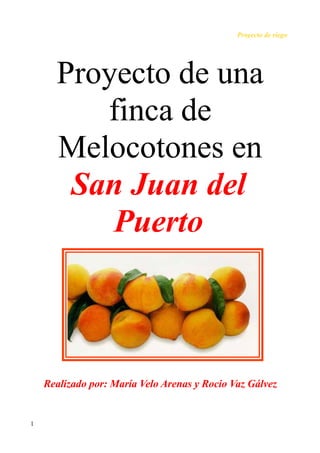 Proyecto de riego




      Proyecto de una
         finca de
      Melocotones en
       San Juan del
          Puerto



    Realizado por: María Velo Arenas y Rocio Vaz Gálvez


1
 