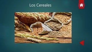 Los Cereales
 