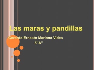 Las maras y pandillas Gerardo Ernesto Mariona Vides                           5”A” 