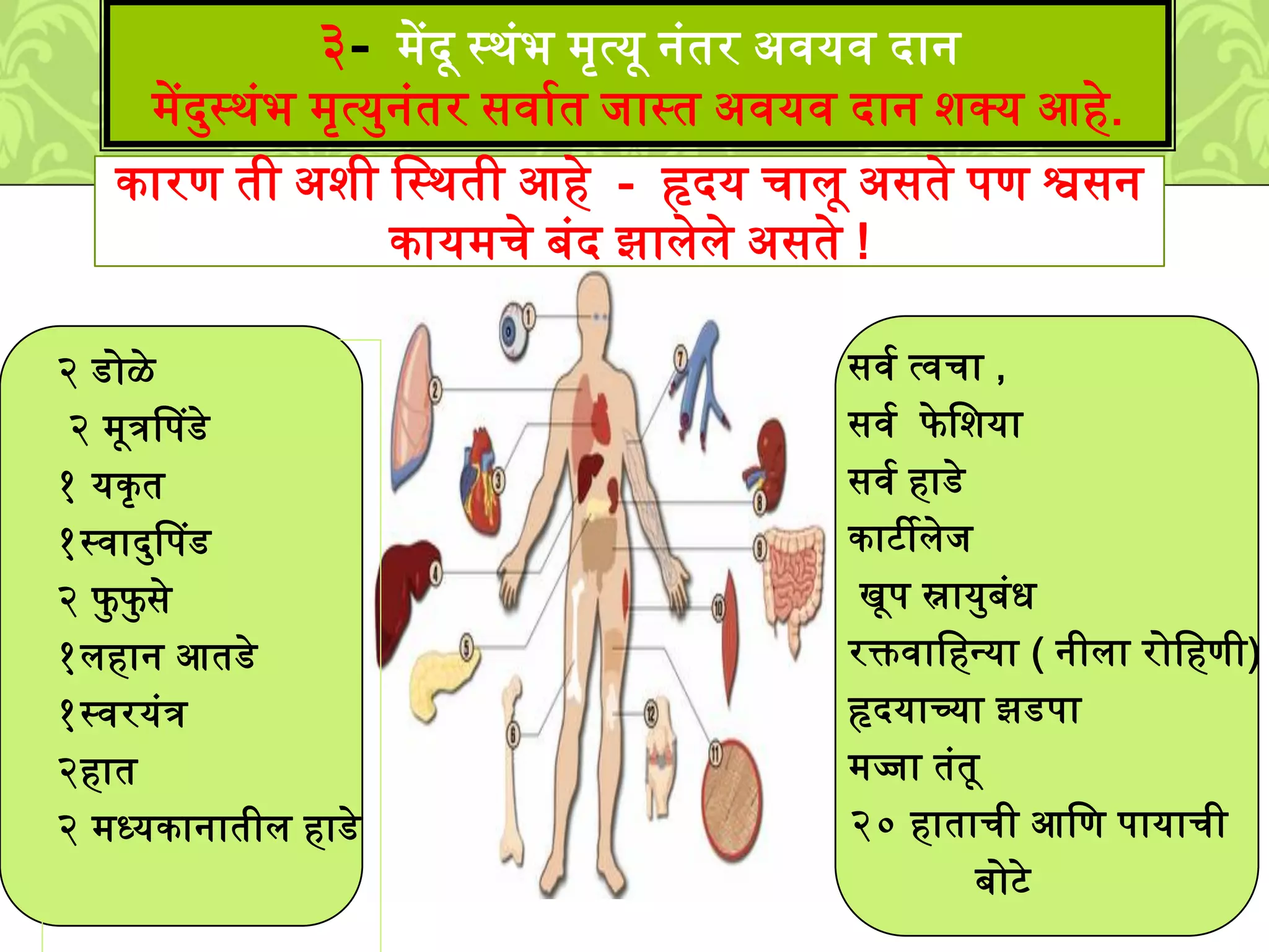 २ डोळे
२ ्ूत्रपपडे
१ यकृ त
१स्वादमपपड
२ फम फम से
१िहान आतडे
१स्वरयुंत्र
२हात
२ ्ध्यकानातीि हाडे
सवश त्वचा ,
सवश फे लिया
सवश हाडे
काटीिेि
खूप स्नायमबुंध
रक्तवालहनया ( नीिा रोलहणी)
हृदयाच्या झडपा
्ज्जा तुंतू
२० हाताची आलण पायाची
बोटे
३- ्ेंदू स्र्ुंभ ्ृत्यू नुंतर अवयव दान
्ेंदमस्र्ुंभ ्ृत्यमनुंतर सवाशत िास्त अवयव दान िक्य आहे.
कारण ती अिी लस्र्ती आहे - हृदय चािू असते पण श्वसन
काय्चे बुंद झािेिे असते !