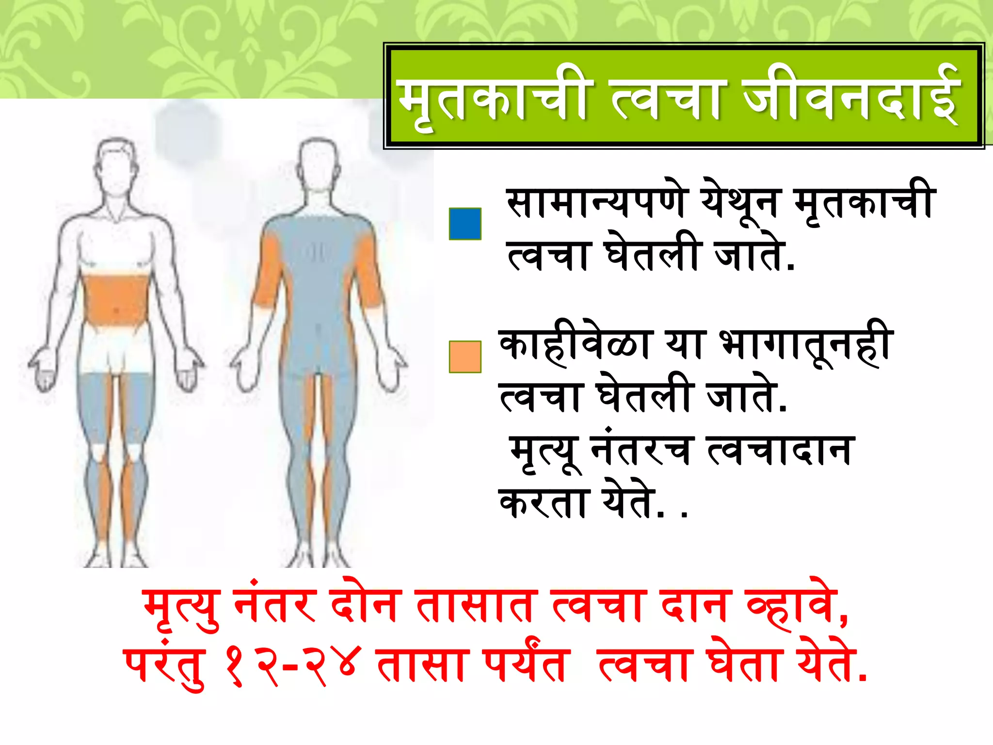 ्ृतकाची त्वचा िीवनदाई
सा्ानयपणे येर्ून ्ृतकाची
त्वचा घेतिी िाते.
काहीवेळा या भागातूनही
त्वचा घेतिी िाते.
्ृत्यू नुंतरच त्वचादान
करता येते. .
्ृत्यम नुंतर दोन तासात त्वचा दान व्हावे,
परुंतम १२-२४ तासा पयांत त्वचा घेता येते.