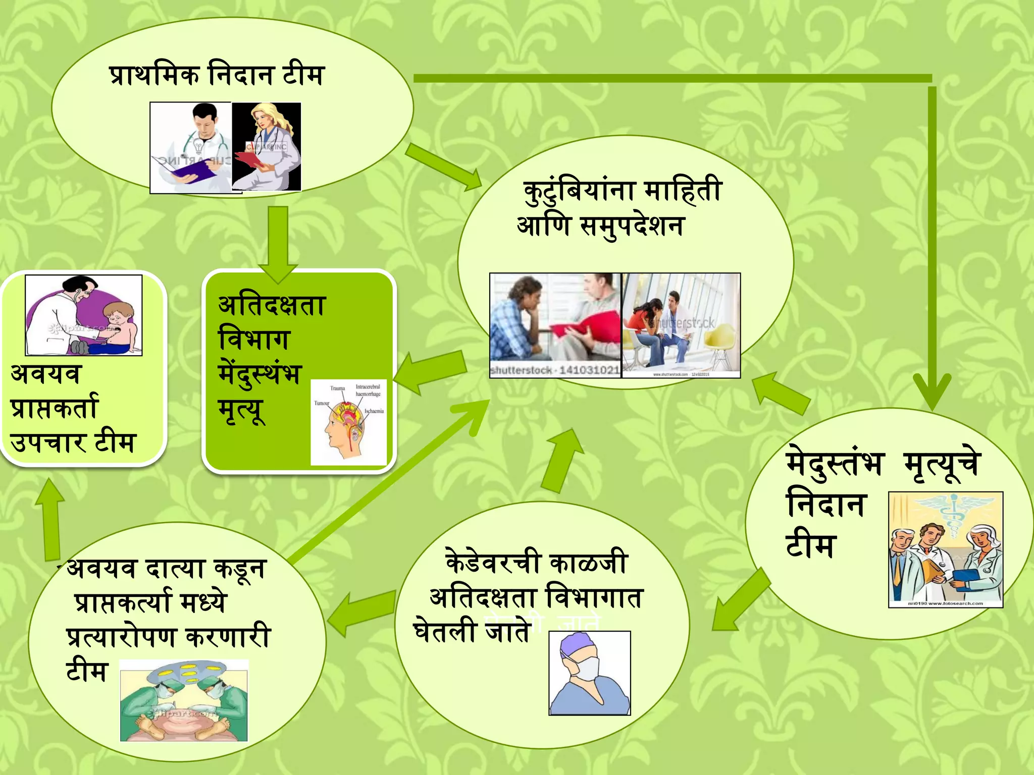 कमटमुंलबयाुंना ्ालहती
आलण स्मपदेिन
प्रार्ल्क लनदान टी्
्ेदमस्तुंभ ्ृत्यूचे
लनदान
टी्
घेतली जाते
अवयव
प्राप्तकताश
उपचार टी्
केडेवरची काळिी
अलतदक्षता लवभागात
घेतिी िाते
अलतदक्षता
लवभाग
्ेंदमस्र्ुंभ
्ृत्यू
अवयव दात्या कडून
प्राप्तकत्याश ्ध्ये
प्रत्यारोपण करणारी
टी्
अवयव दात्या कडून
प्राप्तकत्याश ्ध्ये
प्रत्यारोपण करणारी
टी्