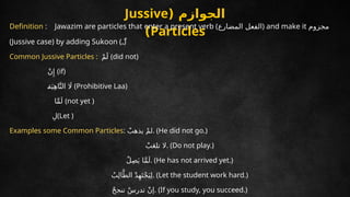 CBSE Arabic Grammar - Class 10 ppt.pptx