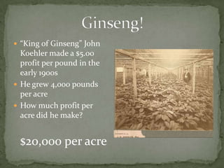  “King of Ginseng” John

Koehler made a $5.00
profit per pound in the
early 1900s
 He grew 4,000 pounds
per acre
 How much profit per
acre did he make?

$20,000 per acre

 