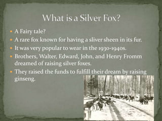  A Fairy tale?
 A rare fox known for having a sliver sheen in its fur.
 It was very popular to wear in the 1930-1940s.
 Brothers, Walter, Edward, John, and Henry Fromm

dreamed of raising silver foxes.
 They raised the funds to fulfill their dream by raising
ginseng.

 
