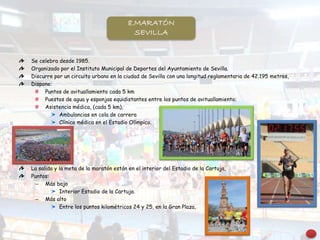Se celebra desde 1985.
Organizado por el Instituto Municipal de Deportes del Ayuntamiento de Sevilla.
Discurre por un circuito urbano en la ciudad de Sevilla con una longitud reglamentaria de 42.195 metros,
Dispone:
Puntos de avituallamiento cada 5 km
Puestos de agua y esponjas equidistantes entre los puntos de avituallamiento;
Asistencia médica, (cada 5 km),
Ambulancias en cola de carrera
Clínica médica en el Estadio Olímpico.
La salida y la meta de la maratón están en el interior del Estadio de la Cartuja,
Puntos:
– Más bajo
Interior Estadio de la Cartuja.
– Más alto
Entre los puntos kilométricos 24 y 25, en la Gran Plaza,
8.MARATÓN
SEVILLA
 