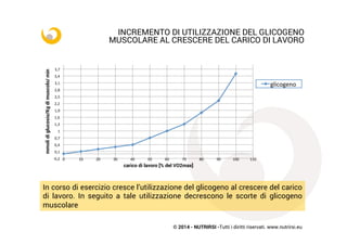© 2014 - NUTRIRSI -Tutti i diritti riservati. www.nutrirsi.eu
INCREMENTO DI UTILIZZAZIONE DEL GLICOGENO
MUSCOLARE AL CRESCERE DEL CARICO DI LAVORO
-­‐0,2	
  
0,1	
  
0,4	
  
0,7	
  
1	
  
1,3	
  
1,6	
  
1,9	
  
2,2	
  
2,5	
  
2,8	
  
3,1	
  
3,4	
  
3,7	
  
0	
   10	
   20	
   30	
   40	
   50	
   60	
   70	
   80	
   90	
   100	
   110	
  
mmolidiglucosio/Kgdimuscolo/min
carico di lavoro [% del VO2max]
glicogeno	
  	
  
In corso di esercizio cresce l’utilizzazione del glicogeno al crescere del carico
di lavoro. In seguito a tale utilizzazione decrescono le scorte di glicogeno
muscolare
 