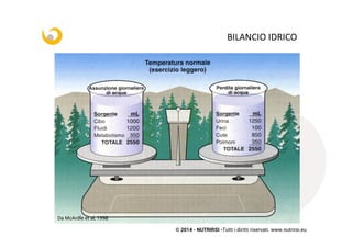 © 2014 - NUTRIRSI -Tutti i diritti riservati. www.nutrirsi.eu
BILANCIO	
  IDRICO	
  
Da McArdle et al, 1998
 