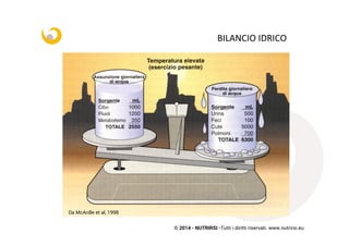 © 2014 - NUTRIRSI -Tutti i diritti riservati. www.nutrirsi.eu
BILANCIO	
  IDRICO	
  
Da McArdle et al, 1998
 