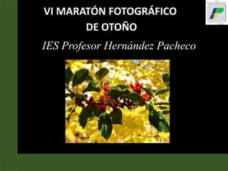 IES Profesor Hernández Pacheco
VI MARATÓN FOTOGRÁFICO
DE OTOÑO
 