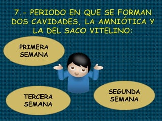 PRIMERA
SEMANA
TERCERA
SEMANA
SEGUNDA
SEMANA
 