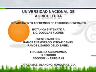 UNIVERSIDAD NACIONAL DE
            AGRICULTURA
DEPARTAMENTO ACEDEMICO DE ESTUDIOS GENERALES

            BOTANICA SISTEMATICA
            LIC. DOUGLAS FLORES

              PRESENTADO POR:
       RAMOS ENAMORADO, OSCAR DANIEL
         RAMOS LIZARDO DELIO SABIEL

           I-INGENIERIA AGRONOMICA
                   III PERIODO
              SECCION H - PAREJA #1

     CATACAMAS, OLANCHO, HONDURAS, C.A.
 