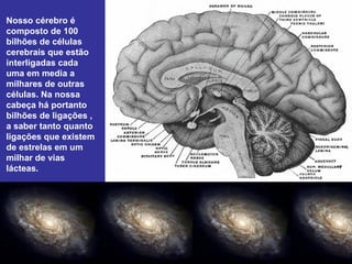 Nosso cérebro é
composto de 100
bilhões de células
cerebrais que estão
interligadas cada
uma em media a
milhares de outras
células. Na nossa
cabeça há portanto
bilhões de ligações ,
a saber tanto quanto
ligações que existem
de estrelas em um
milhar de vias
lácteas.
 