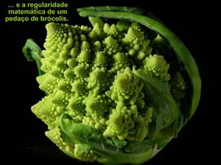 … e a regularidade
 matemática de um
pedaço de brócolis.
 