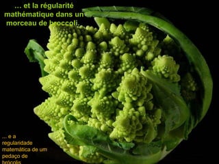 …  et la régularité mathématique dans un morceau de broccoli.   ... e a regularidade matemática de um pedaço de brócolis 