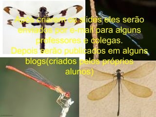 Após criarem os slides eles serão enviados por e-mail para alguns professores e colegas. Depois serão publicados em alguns blogs(criados pelos próprios alunos) 