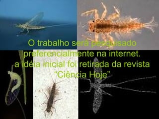 O trabalho será pesquisado preferencialmente na internet. a idéia inicial foi retirada da revista “Ciência Hoje” 
