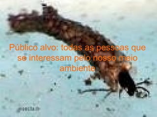 Público alvo: todas as pessoas que se interessam pelo nosso meio ambiente 