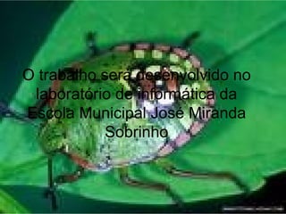 O trabalho será desenvolvido no laboratório de informática da Escola Municipal José Miranda Sobrinho 