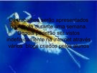 Os trabalhos serão apresentados na escola durante uma semana. Depois poderão ser vistos indefinidamente na internet através vários  blogs criados pelos alunos 