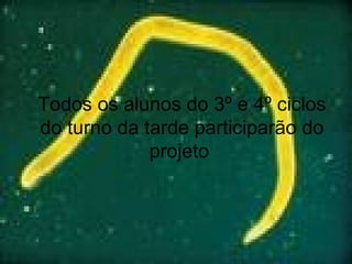 Todos os alunos do 3º e 4º ciclos do turno da tarde participarão do projeto  