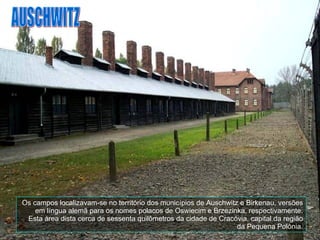 Os campos localizavam-se no território dos municípios de Auschwitz e Birkenau, versões em língua alemã para os nomes polacos de Oswiecim e Brzezinka, respectivamente. Esta área dista cerca de sessenta quilômetros da cidade de Cracóvia, capital da região da Pequena Polônia. AUSCHWITZ 