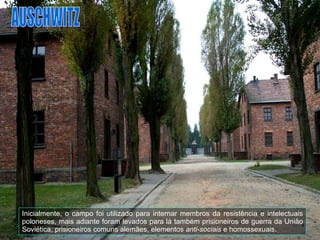 Inicialmente, o campo foi utilizado para internar membros da resistência e intelectuais poloneses, mais adiante foram levados para lá também prisioneiros de guerra da União Soviética, prisioneiros comuns alemães, elementos  anti-sociais  e homossexuais.  AUSCHWITZ 