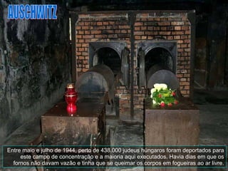 Entre maio e julho de 1944, perto de 438.000 judeus húngaros foram deportados para este campo de concentração e a maioria aqui executados. Havia dias em que os fornos não davam vazão e tinha que se queimar os corpos em fogueiras ao ar livre. AUSCHWITZ 