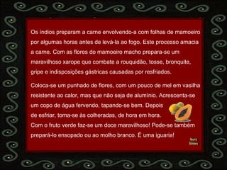 Nura Slides Os índios preparam a carne envolvendo-a com folhas de mamoeiro por algumas horas antes de levá-la ao fogo. Este processo amacia  a carne. Com as flores do mamoeiro macho prepara-se um  maravilhoso xarope que combate a rouquidão, tosse, bronquite,  gripe e indisposições gástricas causadas por resfriados. Coloca-se um punhado de flores, com um pouco de mel em vasilha resistente ao calor, mas que não seja de alumínio. Acrescenta-se  um copo de água fervendo, tapando-se bem. Depois  de esfriar, toma-se às colheradas, de hora em hora. Com o fruto verde faz-se um doce maravilhoso! Pode-se também  prepará-lo ensopado ou ao molho branco. É uma iguaria!  
