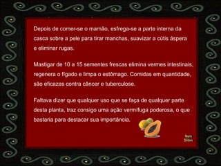 Nura Slides Depois de comer-se o mamão, esfrega-se a parte interna da  casca sobre a pele para tirar manchas, suavizar a cútis áspera  e eliminar rugas. Mastigar de 10 a 15 sementes frescas elimina vermes intestinais, regenera o fígado e limpa o estômago. Comidas em quantidade,  são eficazes contra câncer e tuberculose. Faltava dizer que qualquer uso que se faça de qualquer parte  desta planta, traz consigo uma ação vermífuga poderosa, o que  bastaria para destacar sua importância. 