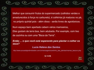 Nura Slides Melhor que consumir frutos do supermercado (colhidos verdes e  amadurecidos à força no carbureto), é colhê-los já maduros no pé, no próprio quintal pois - além disso - serão livres de agrotóxicos. Num espaço bem apertado cabem vários mamoeiros, Eles gostam de terra boa, bem adubada. Por exemplo, com lixo  de cozinha ou com uma "Boca da Terra". Então ... o que você está esperando para plantar e colher os seus? Lucia  Helena dos Santos   http:// www . pousadajardimdoeden .com.br/mensagens/ cantinho _das_plantas/ mamao _tesouro. php by nur@ 