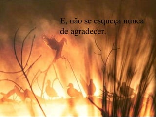 E, não se esqueça nunca de agradecer.  