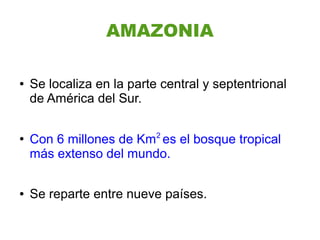 AMAZONIA

●   Se localiza en la parte central y septentrional
    de América del Sur.

●
    Con 6 millones de Km2 es el bosque tropical
    más extenso del mundo.

●   Se reparte entre nueve países.
 